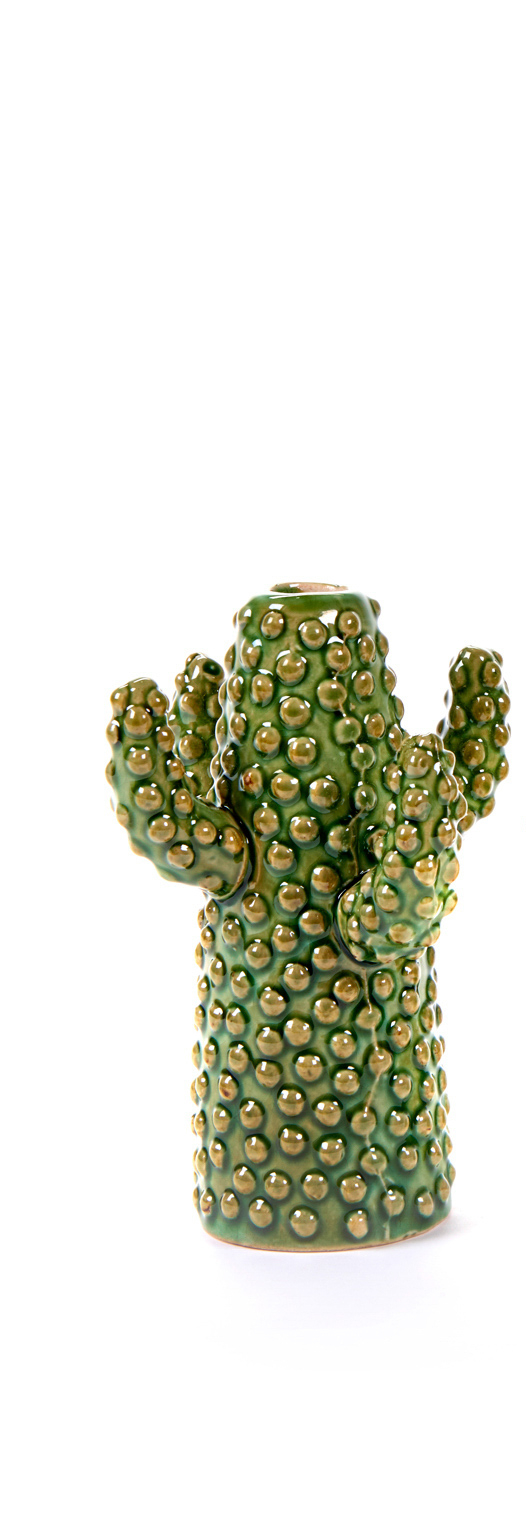 MARIE Cactus Mini