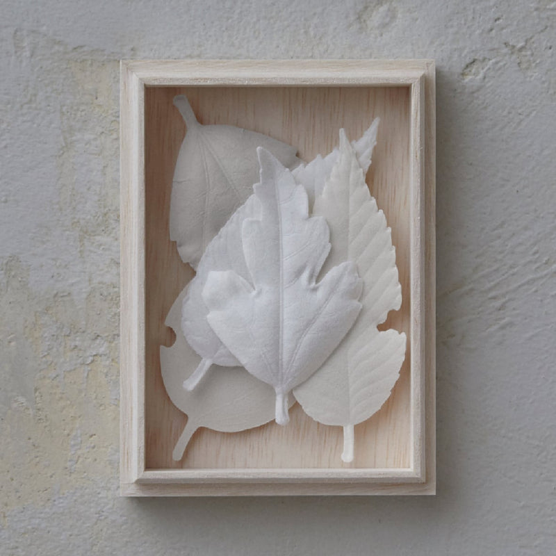 HAKO Box set of five pics