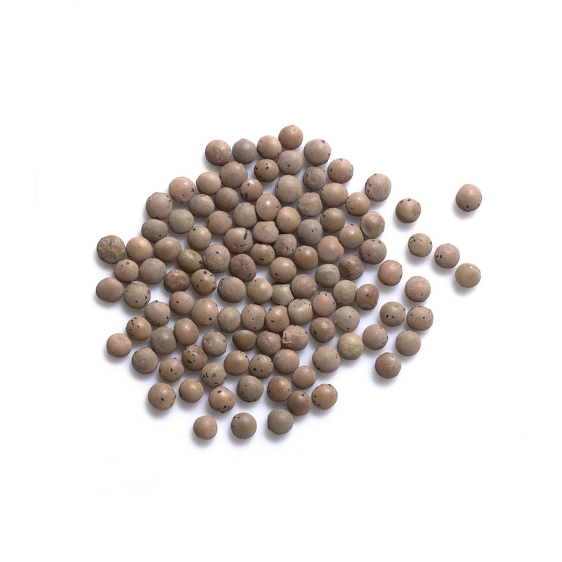 B20 Organic Brown Lentils