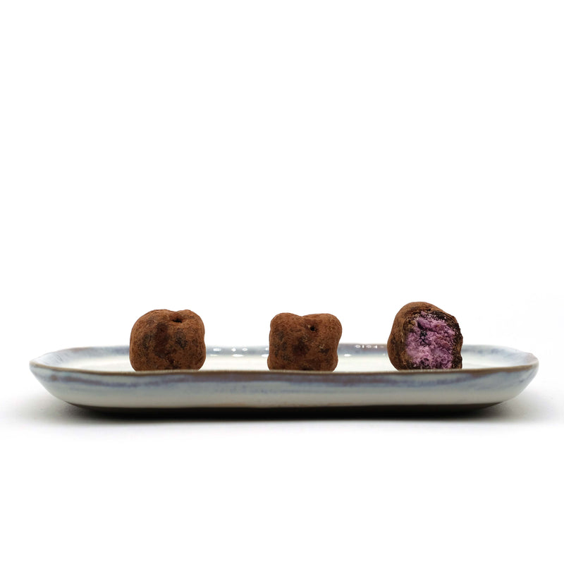 CH32 - Vegaterian Dark Chocolate covered Freeze-Dried Blueberries Yogurt - Slowood