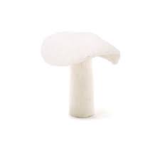 Mushrooms - Natural Xl - Slowood