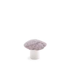 Morel Mushroom - LIGHT STONE S