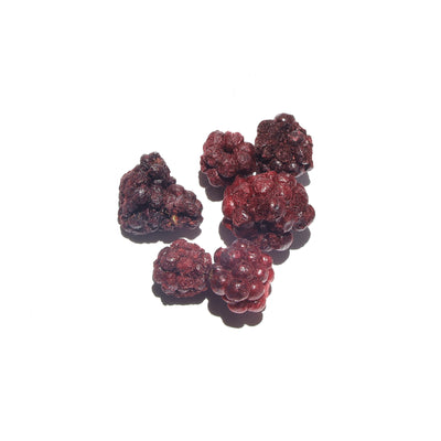 F01 - Freeze-dried Blackberry - Slowood
