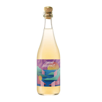 Chasing Waterfalls 2019, Pinot Gris, New Zealand - Natural, Unfiltered - Slowood
