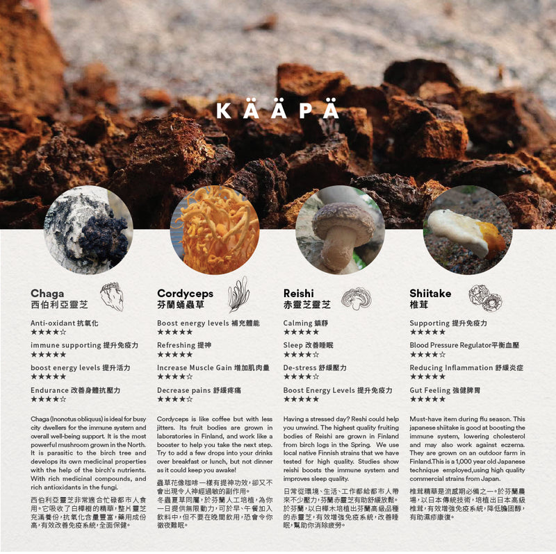 西伯利亞靈芝
