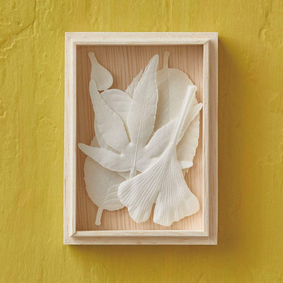 HAKO Autumn Box set of five pics - Slowood