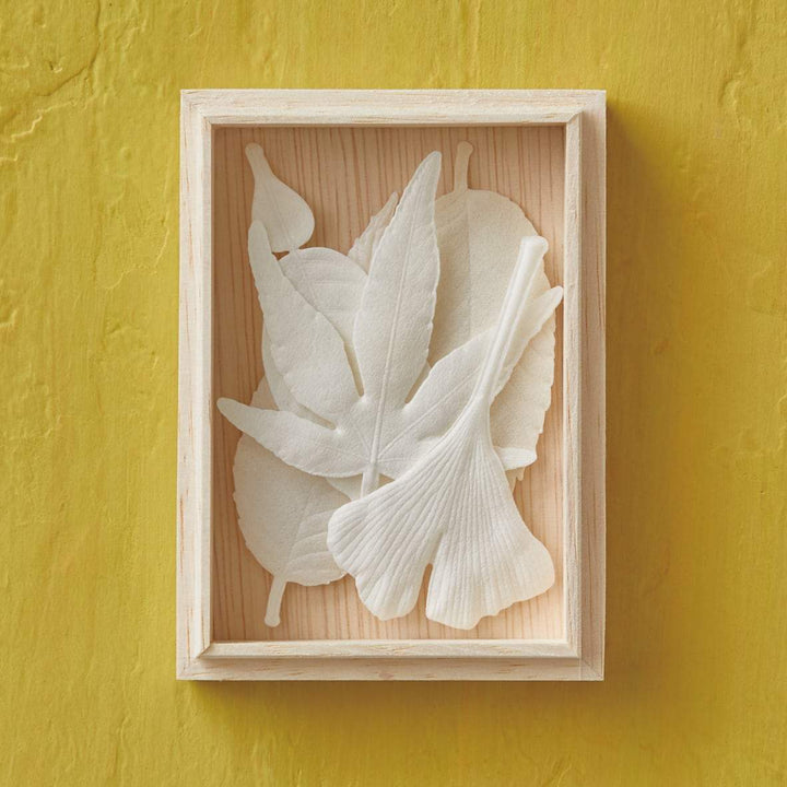 HAKO Autumn Box set of five pics - Slowood