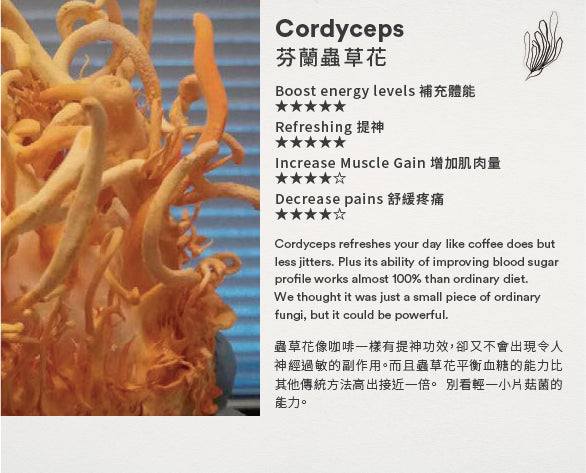 Cordyceps SOMA tincture - Slowood