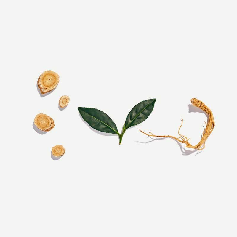 活力茶 - 20茶包