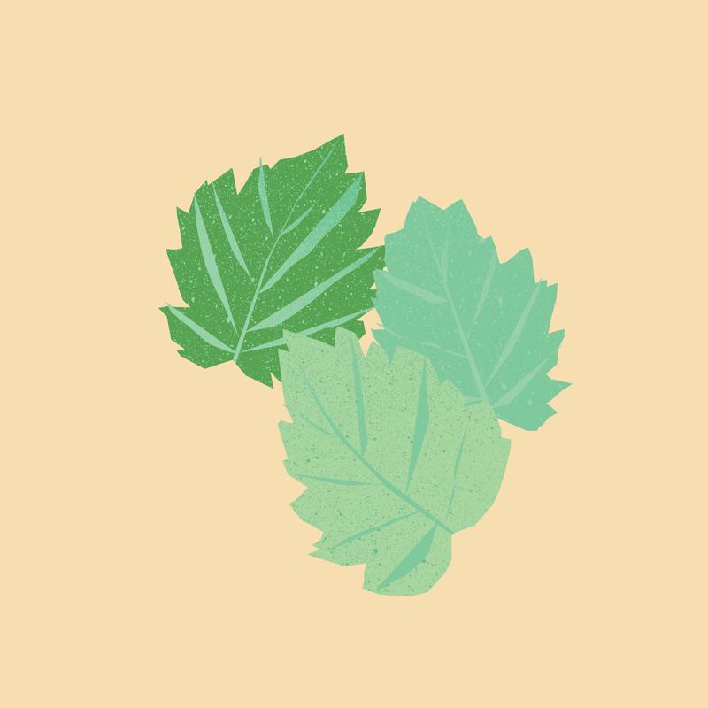Patchouli Essential Oil 12ml - Slowood