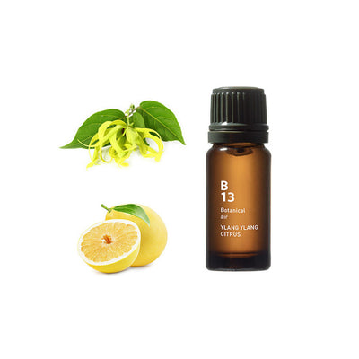 Botanical Air - Ylang Ylang Citrus - Slowood