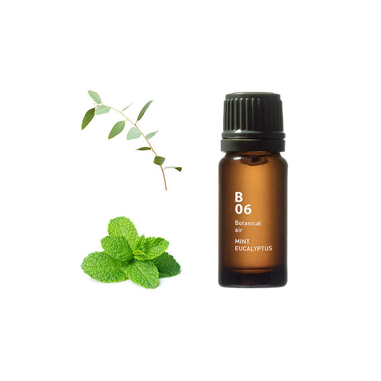 Botanical Air - Mint Eucalyptus