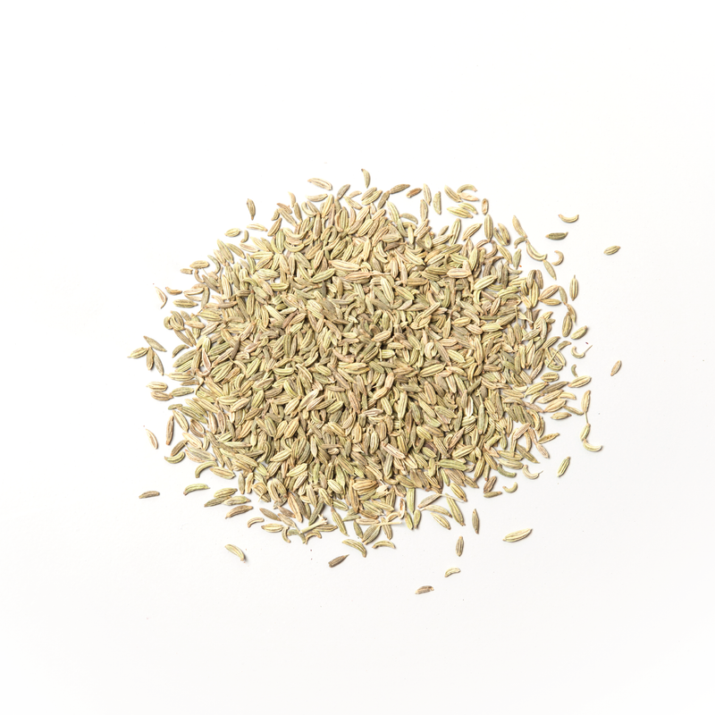 SP44 Fennel Seed